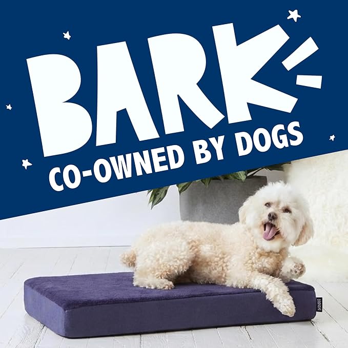 BarkBox Orthopedic Dog Bed - Small