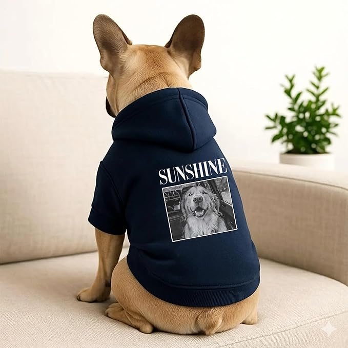 Personalized Name Dog Hoodie, Print Hoodies Pets Name, Custom Pet Memorial, Bright Puppy Sweatshirt, Customized Pet Clothes Warm Winter Outfit for Dogs, Gift for Dog Lovers Style 5
