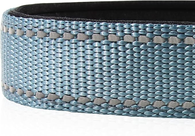 Joytale Reflective Dog Collar, Adjustable Neoprene Padded, Gray XL