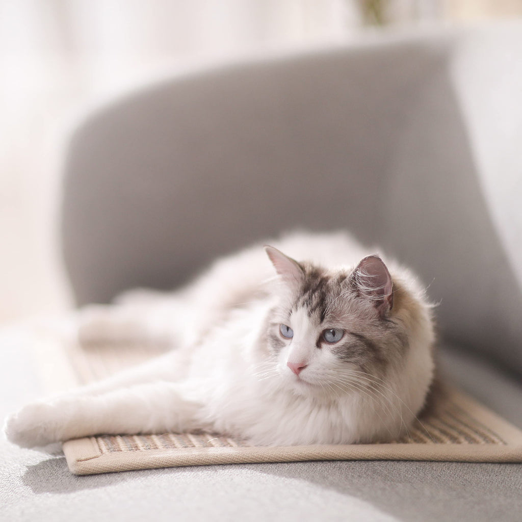 FUKUMARU Cat Scratcher Mat, 23.6 X 15.7 Inch Natural Sisal Cat Scratch Mat