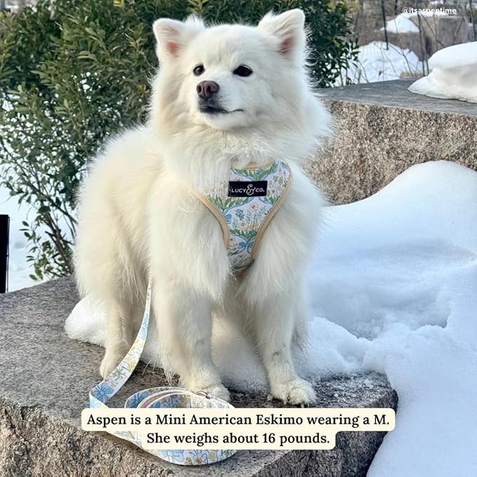 Lucy & Co. Sunshine and Daffodils Reversible Dog Harness, Adjustable Comfort Fit with Dual Leash Attachments, Medium