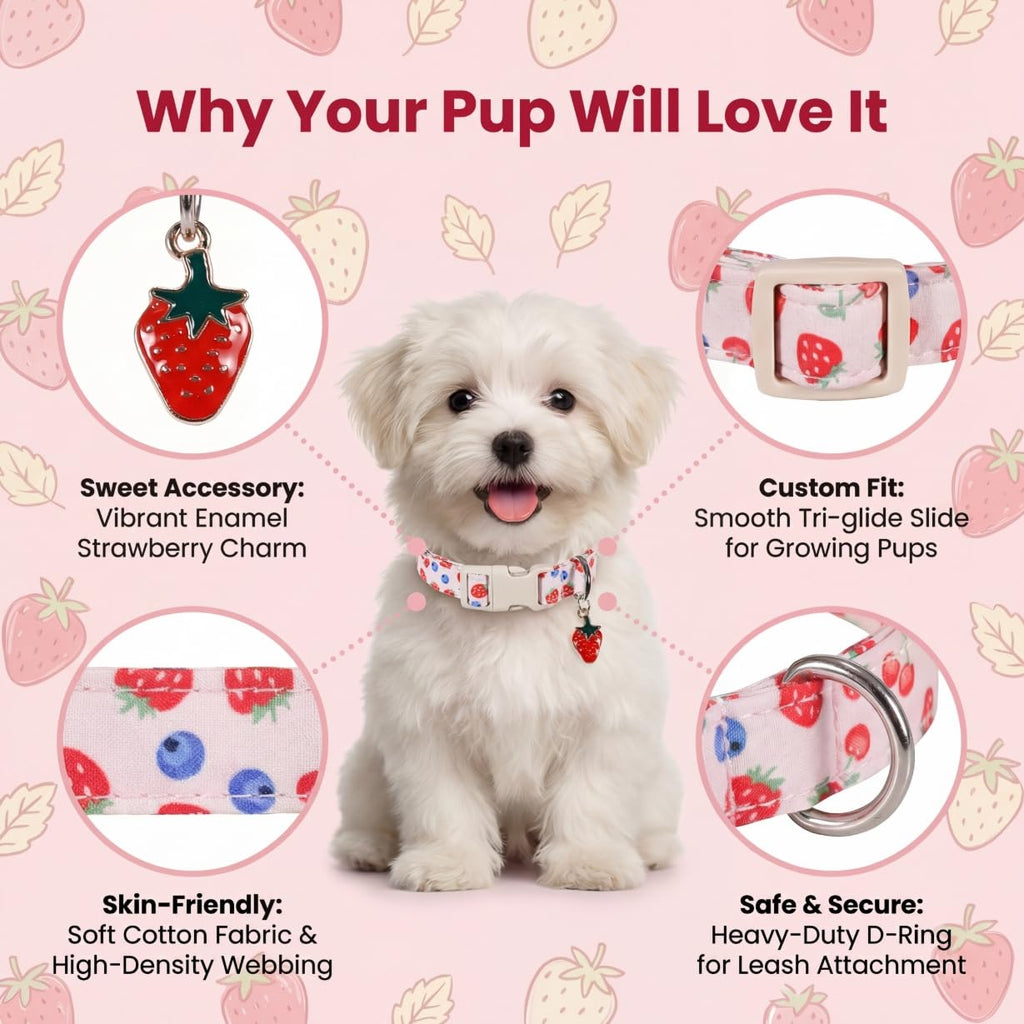 Britwicfr Girl Dog Collar, Cute Dog Collar for Medium Dogs with Cute Strawberry, Cherry and Blueberry Print, Pink Collar for Dogs with Quick-Release Buckle and Robust D Ring, M