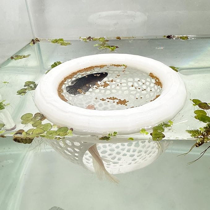 Aquarium Floating Betta Fish Skins, Betta or Shrimp Feeder, Cave and Hammock, Small Fish Feeding Rings, Aquarium Hiding Feeding Decorative Accessories (Cyan)