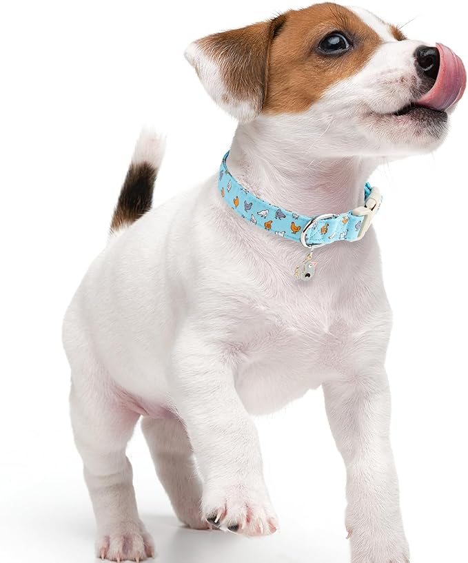 Faygarsle Funny Chicken Pattern Dog Collar, Cotton Fabric, Light Blue with Farm Animal Print for Small Medium Large Dogs, XS