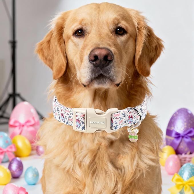 DOGWONG Cute Easter Egg Dog Collar, Adjustable Soft Egg Pet Collar for Small Medium Large Dogs,XL Visit the Elegant Little Tail Store