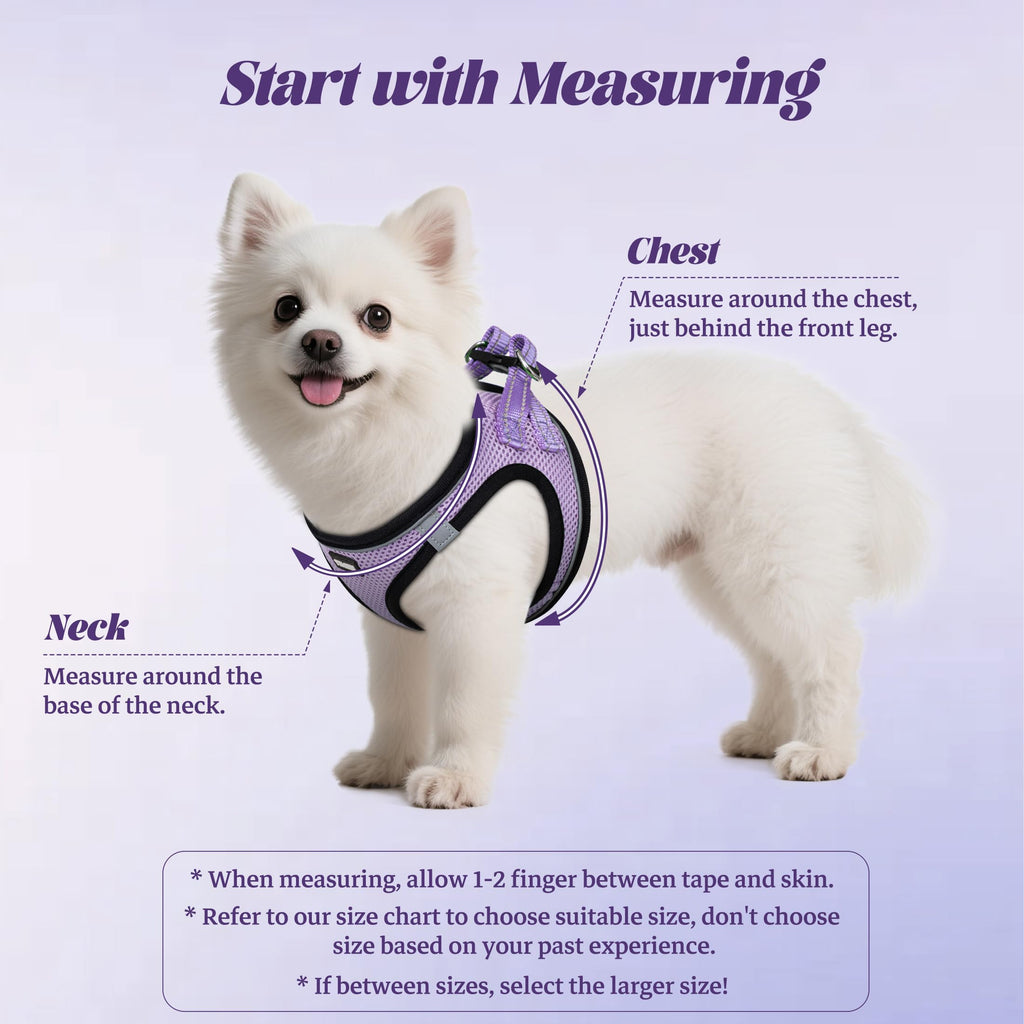 No Pull Dog Puppy Harness and Leash Set Reflective Mesh Vest X-Small
