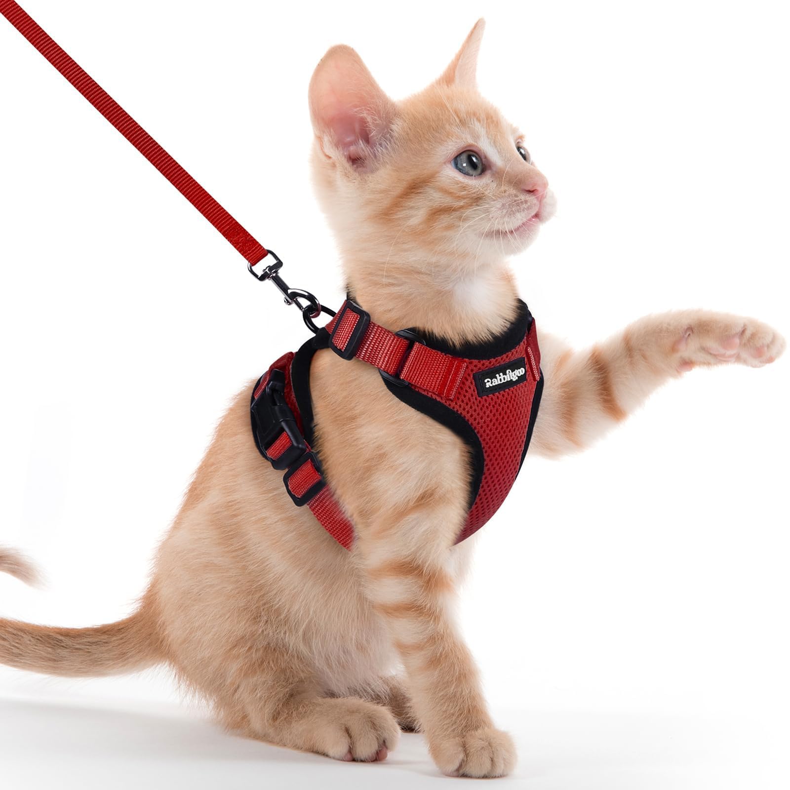rabbitgoo Cat Harness and Leash Set, Escape Proof Vest, Emerald