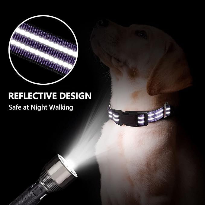 Martingale Dog Collar, Adjustable Nylon Reflective Collar with Buckle No Pull Dog Collar for Small Medium Large Dogs (Purple M)