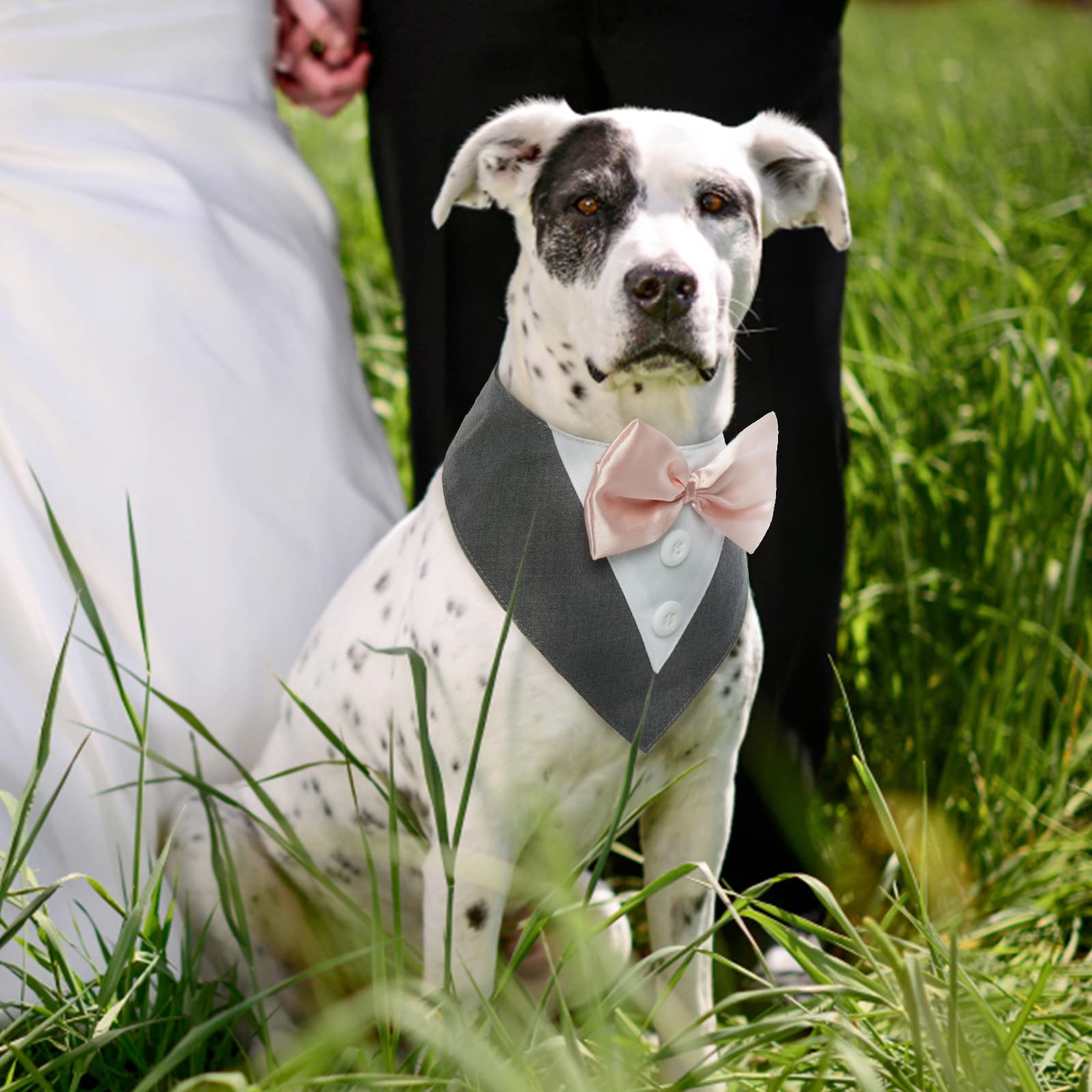 FUAMEY Dog Tuxedo for Small Dogs Suit Bandana Wedding Outfit Bow Tie Collar