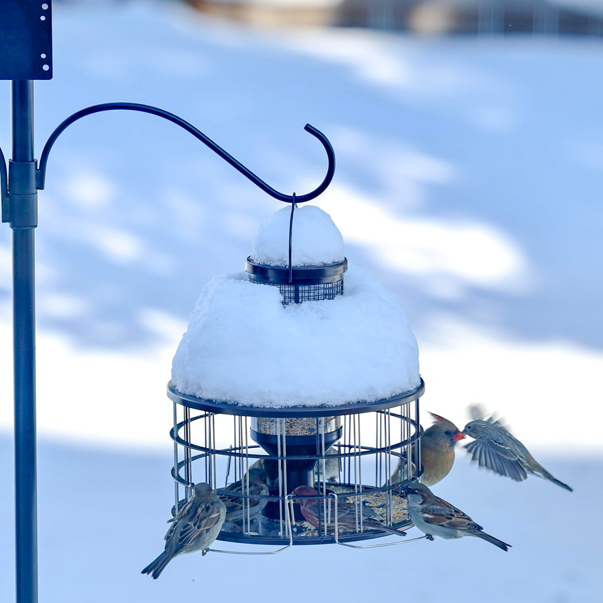 Upgraded Squirrel Proof Bird Feeders, 3Lbs Capacity Caged Bird Feeder, Innovative DIY Starling-Proof, Flexible Adjustment of Grille Size, Caged Seed Tube Feeders Outside Hanging(Copper)