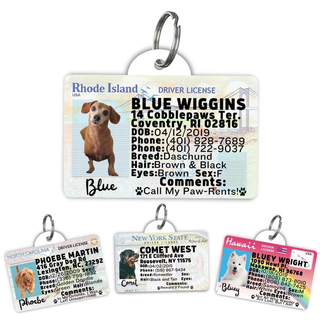 Dog Tags Personalized, Dog ID License Tag for Pets (Washington, Tag)