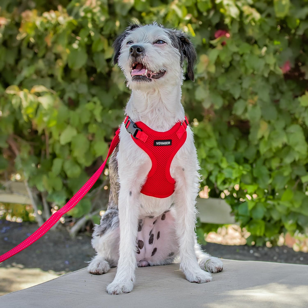 Voyager Step-in Lock Dog Harness - Red, X-Large