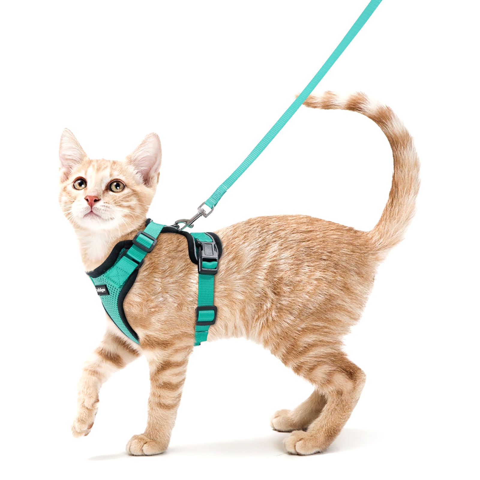 rabbitgoo Cat Harness and Leash Set, Escape Proof Vest, Emerald