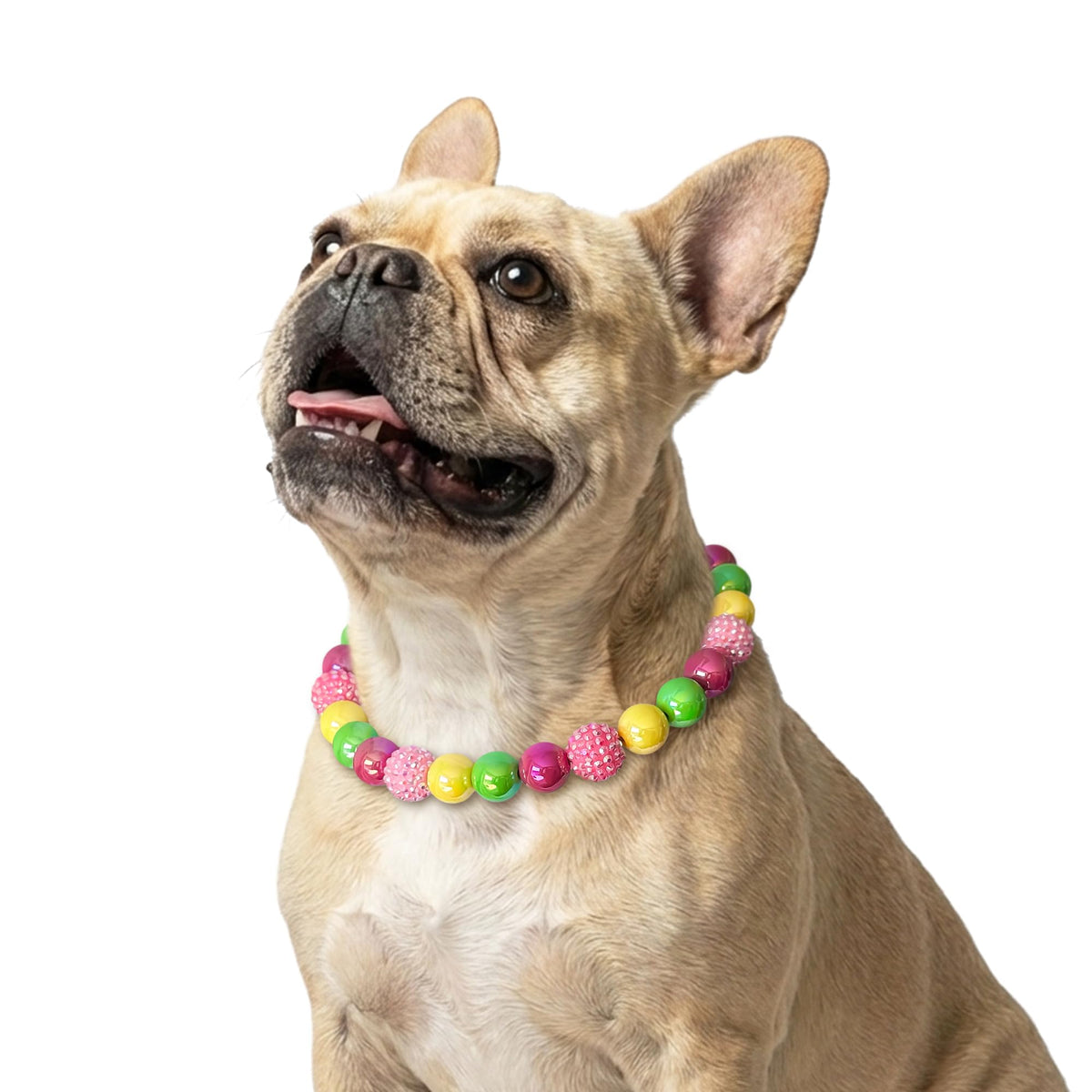 JOGIA Beaded Dog Necklace Collar, Adjustable Jewelry-Inspired Design with Sparkle Beads (Vivid Tropics, Medium)