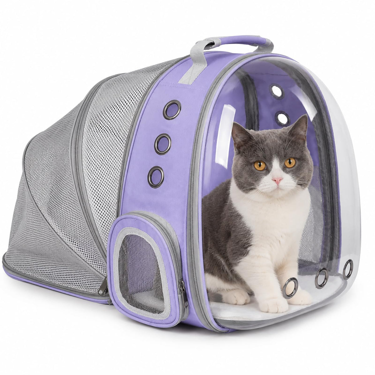 Expandable Cat Carrier Backpack with Bubble Window, Blue