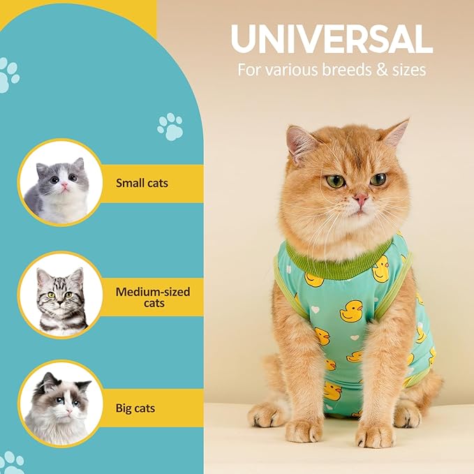 Avont Cat Recovery Suit - Kitten Onesie for Cats After Surgery