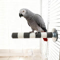 Bird Perch for Cage, Parrot Perch 7.9” x 1” Bird Beak Grinding Stone – Durable Beak & Claw Trimming Accessory for Conure, Cockatiel & Parrot, Non-Toxic Birds Cage Accessory