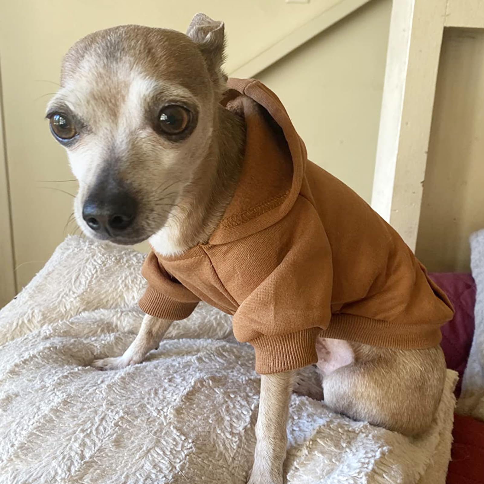 Soft Dog Hoodies for Small Dogs, Warm Fleece Puppy Clothes with Pocket