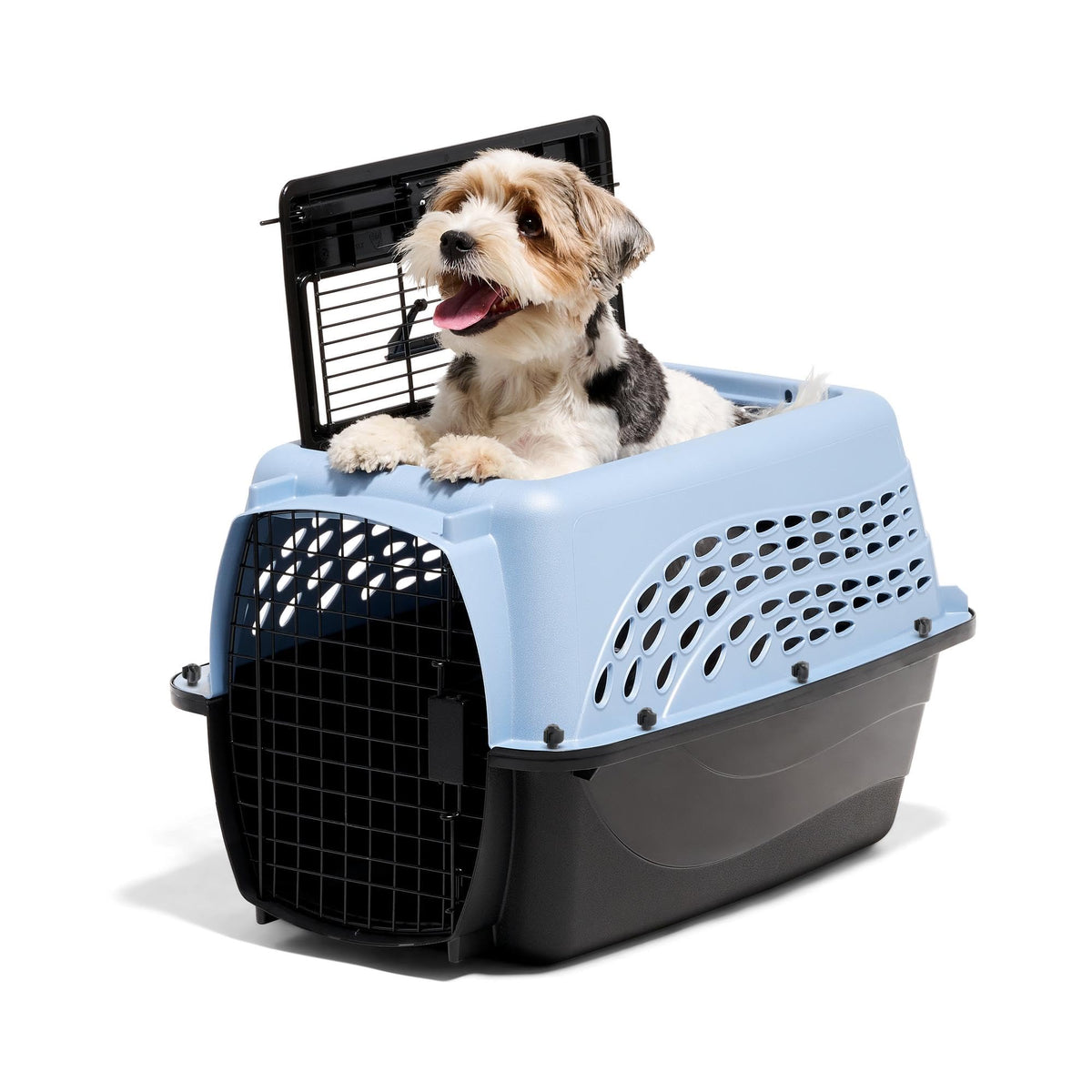 Petmate Dog Crate for Small Dogs and Cat Carrier, 24in, Pearl Tan