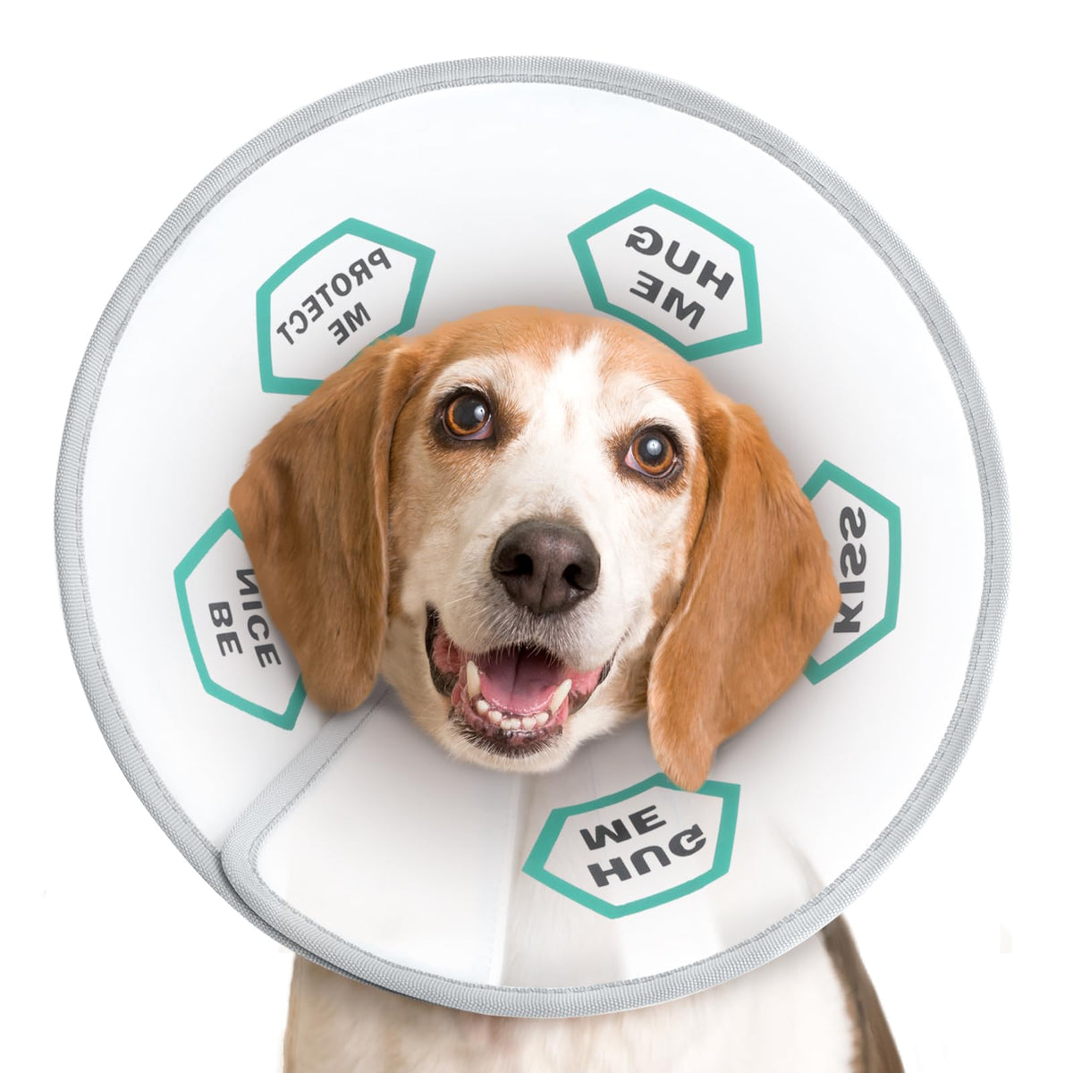 Supet Dog Cone Collar After Surgery to Stop Licking: Adjustable Recovery Elizabeth Collar Alternative for Large Medium Small Dogs, Plastic Pet Head Neck Cone (XS)