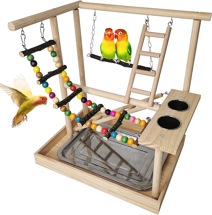 Hamiledyi Parrot Playground Bird Playstand Wood Exercise Play Perch Exercise Gym with Feeder Cups Toys Cockatiel with Ladder Hanging Swing for Pet Conure Lovebirds Life Activity Center Training Stand