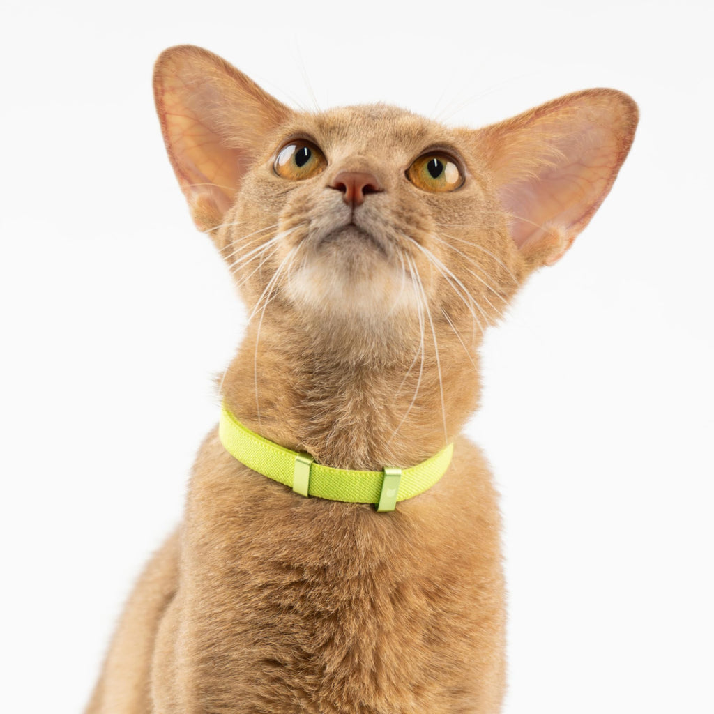 BuddyArmor Safety Cat Collar - U.S. IDA Gold Awarding Design, Elastic Quick Release, Non Breakaway - Lightweight for Kitten, Neck Fit 7.8'-15.7' for All Small Large Cat,M(Linen)