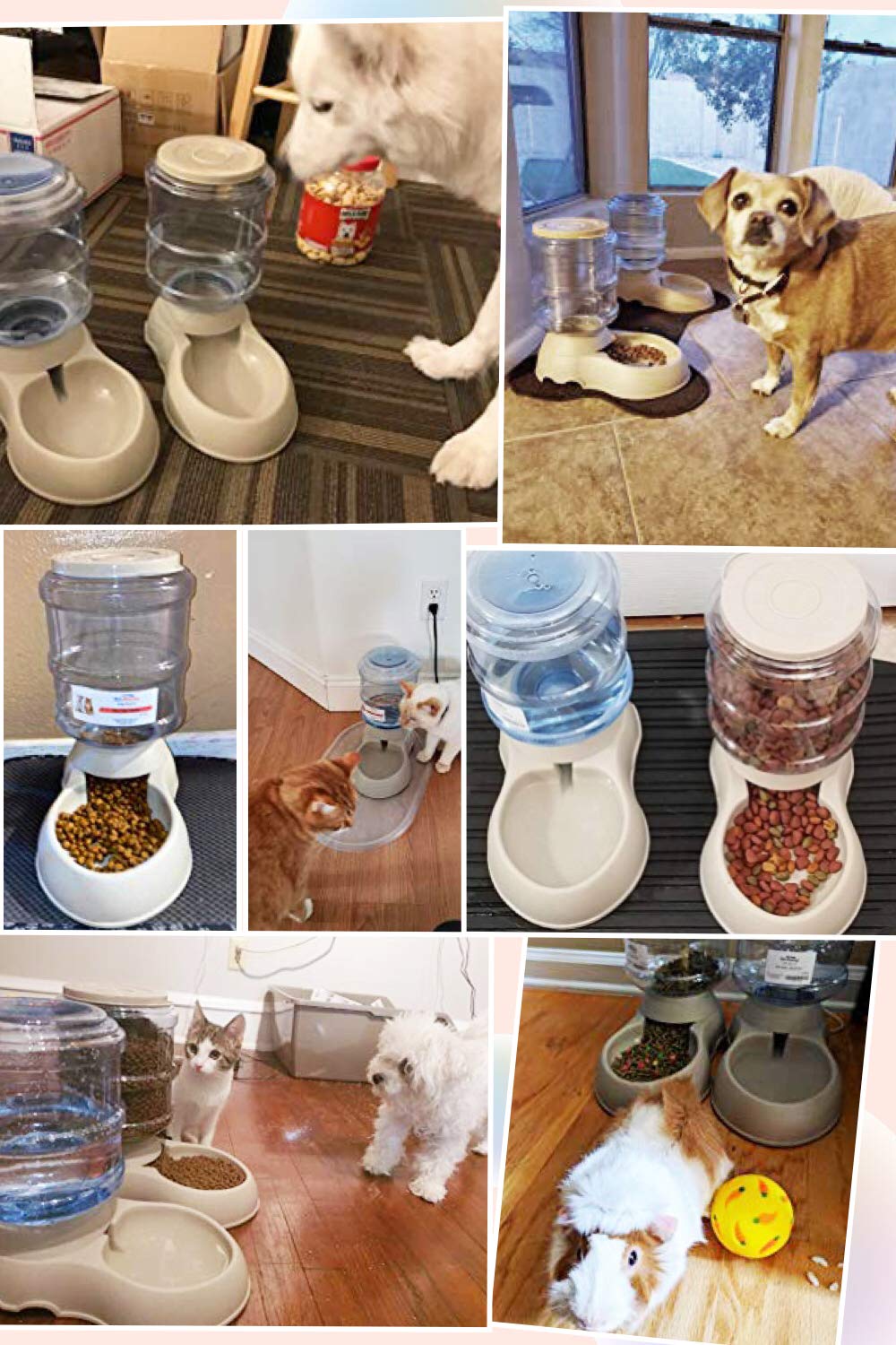 Ito Rocky Automatic Cat & Dog Feeder and Water Dispenser Set with Scoop