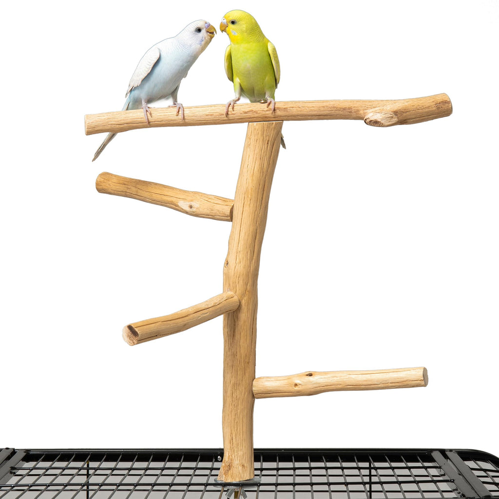Pecirvoli Bird Perch for Top of Cage, Natural Wood Play Stand
