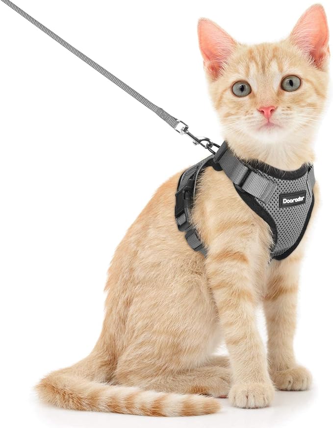 Dooradar Cat Harness and Leash Set, Adjustable and Escape Proof, S