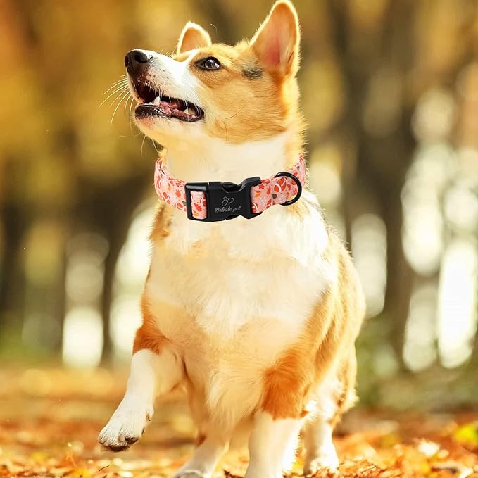 Babole Pet Fall Dog Collar, Cute Football Pattern Puppy Collar, Orange Adjustable Cotton Holiday Tanksgiving Dog Collars for Small Medium Large Boy&Girl Dogs M