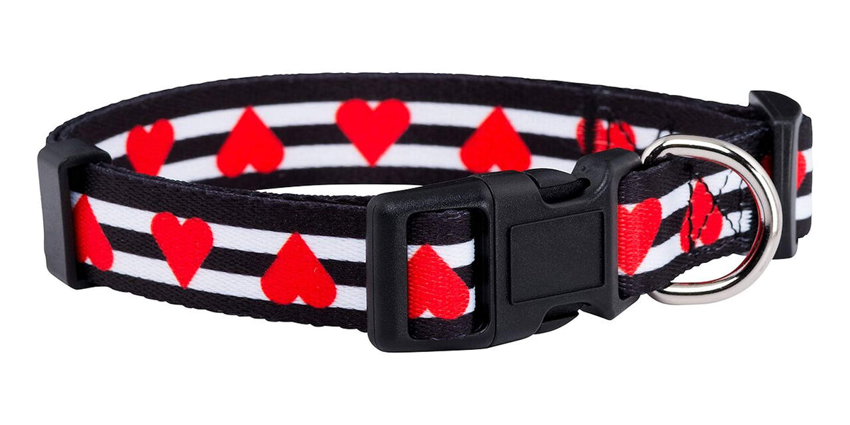 Native Pup Halloween Dog Collar (Small, Bats)