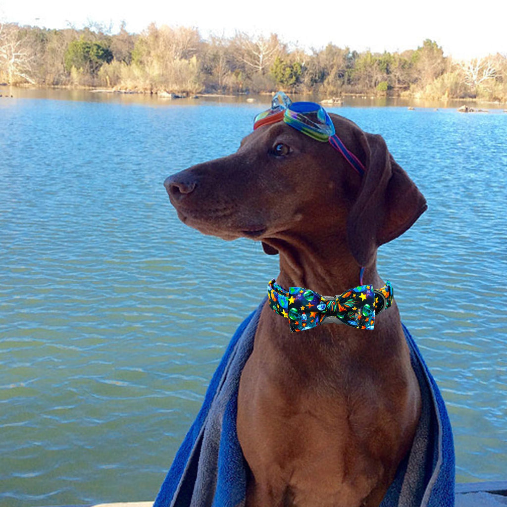 Elegant little tail Dog Collar, Boy Pet Collrs Blue Durable Soft Bowtie Dog Collar Adjustable Dog Collars for Small Medium Large Dogs
