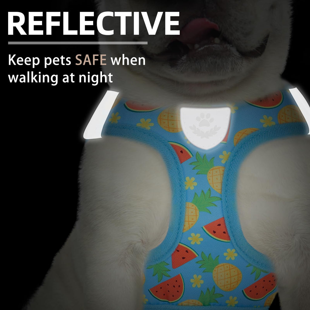 PUPTECK Dog Harness, Collar and Leash Set No Pull for Small Medium Sized