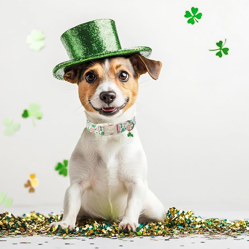 Babole Pet St Patricks Day Dog Collar for Giant Large Dogs - Cute Pastel Lucky Clover Dog Collars, Lightweight Adjustable Irish Green Festival Dogs Collars with Quick Release Buckle XL