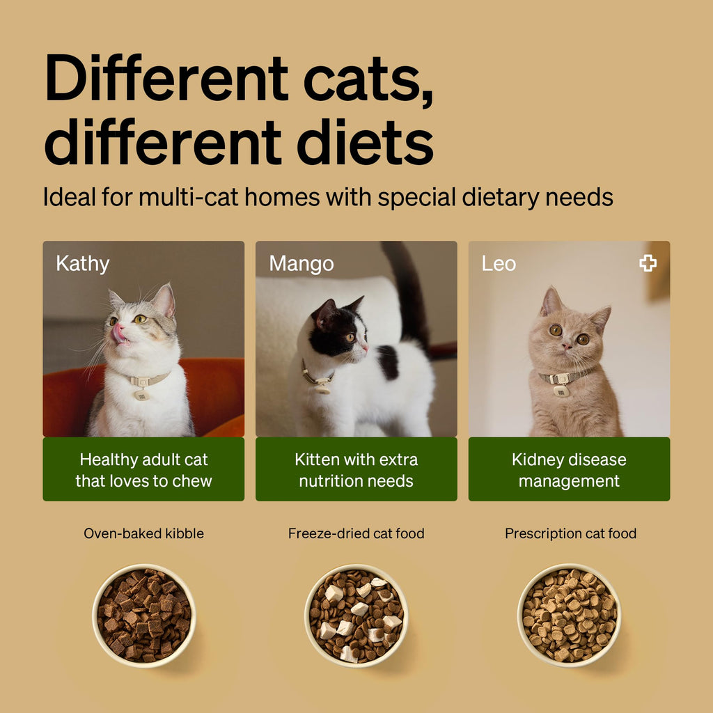 PETLIBRO Automatic Cat Feeders for 2 Cats, RFID Collar Tag for Exclusive Meals, Cats Recognition to Stop Food Stealing, Diet Tracking for Multi-Pet Homes and Different Diets, Pet Feeder Pack of 2