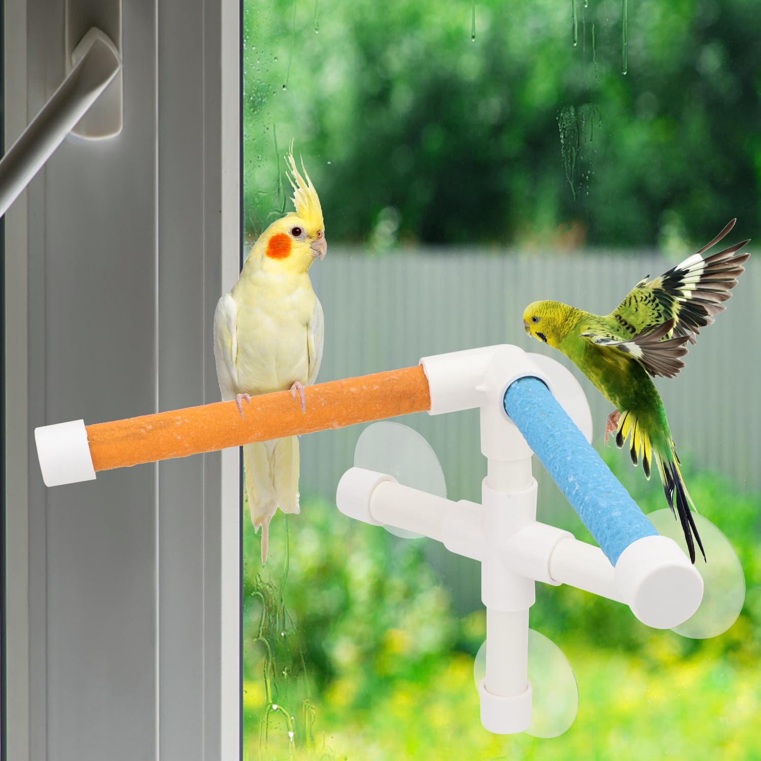 Hypeety Portable Suction Cup Bird Window and Shower Perch Toy Parrot Stand