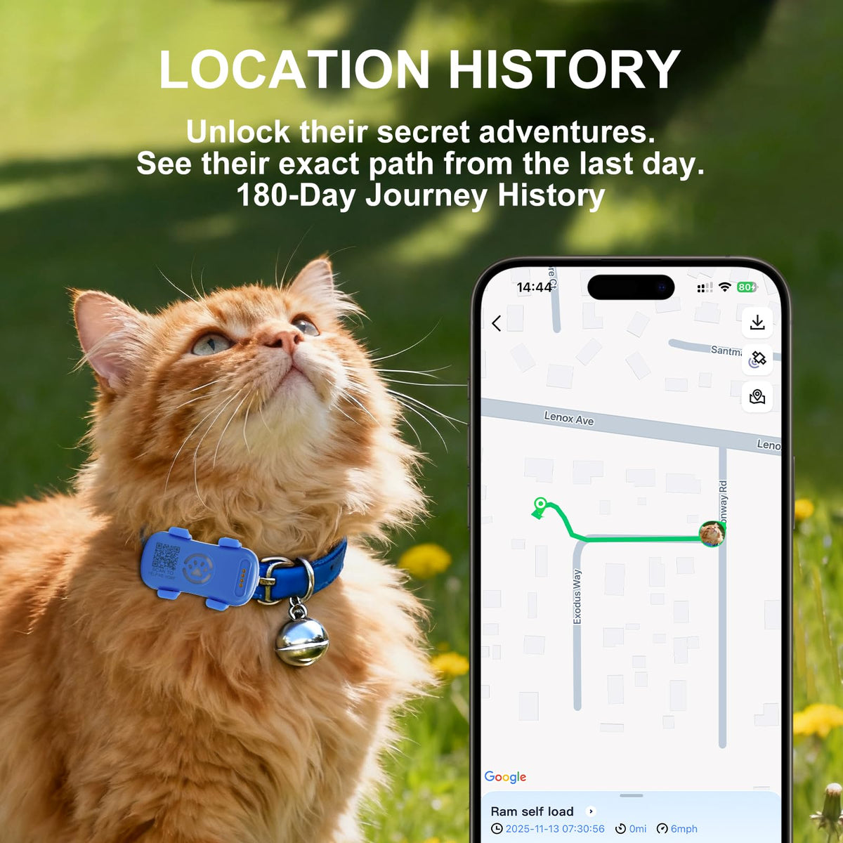 Pet GPS Tracker for Dogs & Cats |Real-Time Location | Subscription Required