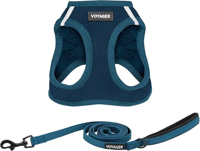 Best Pet Supplies Voyager Step-in Air All Weather Mesh Harness and Reflective Dog 5 ft Leash Combo with Neoprene Handle, for Small, Medium and Large Breed Puppies - Harness Leash Set (Blue), L