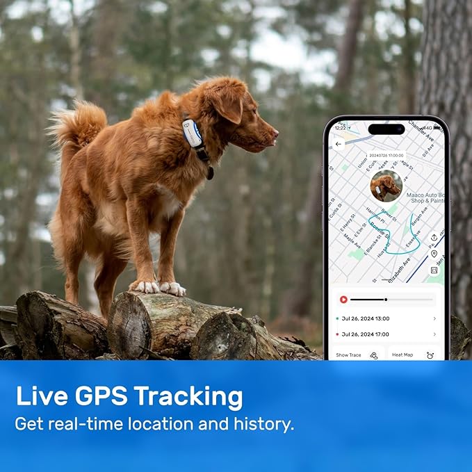 DBDD Dog GPS Tracker, AI Tracker Collar with Virtual Fence & Health Monitoring - Real Time Location Tracker for Escape Artists, Electronic Fence Collar for Medium to Large Dogs, iOS and Android