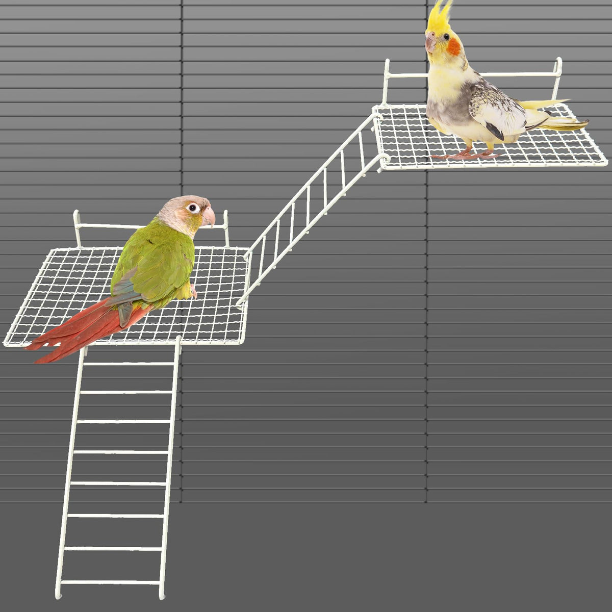 BNOSDM Stainless Steel Grid Platform for Parakeet 4 PCS Bird Perches Platform Parrot Stand with Climbing Ladder Bird Cage Accessories for Small to Large Birds (L)
