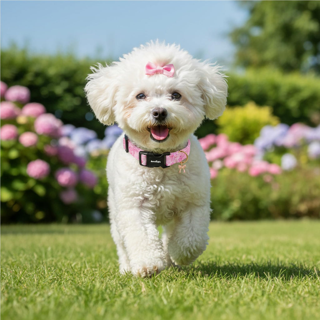 Astdogio Extra Small Dog Collar, Girl Boy Dog Collars with Bow Pattern, Adjustable Cotton Pink Dog Collar for Puppy, Cute Holiday Collars for Dogs, Ideal for Gifts,Pet Accessory,Daily Walk-XS