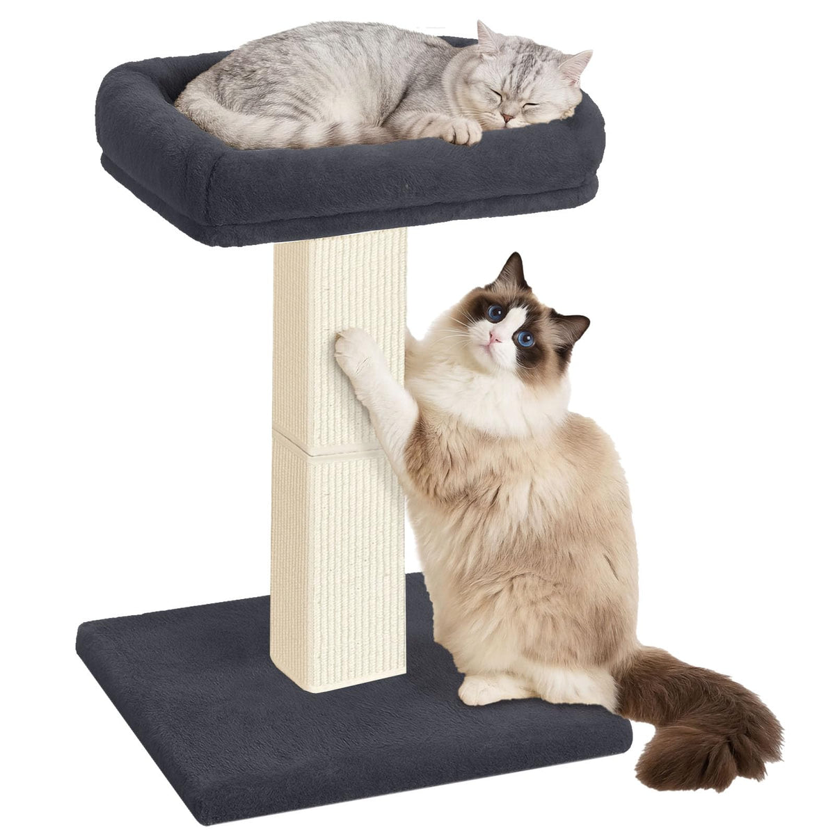 AGYM Cat Scratching Post with Plush Perch for Indoor Cats, 32 Inch
