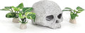Vtapliea Fish Aquarium Decorations Cave Hide with Viewing Window for Betta Fish Tank Decor