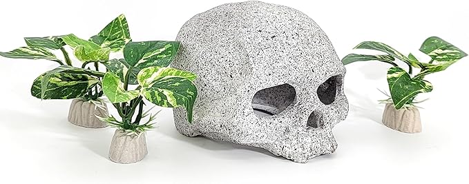 Vtapliea Fish Aquarium Decorations Cave Hide with Viewing Window for Betta Fish Tank Decor