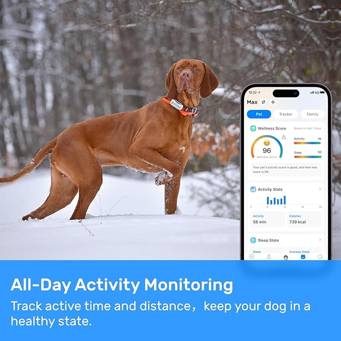 DBDD Dog GPS Tracker, AI Tracker Collar with Virtual Fence & Health Monitoring - Real Time Location Tracker for Escape Artists, Electronic Fence Collar for Medium to Large Dogs, iOS and Android