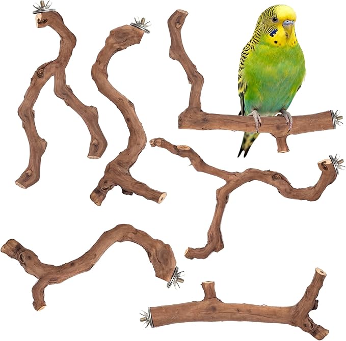 4-Piece Bird Perch Set with Rotating Ball Stand - Natural Wood Bird Gym & Playground for Parrots, Cockatiels, Budgies