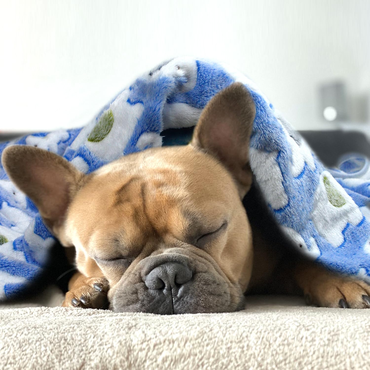 Dog Blankets for Medium Large Dogs Washable, 3 Pack Pet Blanket Washable 41" x 31", Fuzzy Soft Puppy Blanket Throw Cover for Kennel Crate Bed, Blanket for Dogs, Pet Blankets for Dog