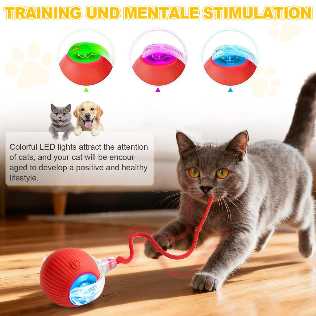 USB Rechargeable Smart Cat Toy Ball, 360° Rotation Automatic Moving Chase Toy, Obstacle Avoidance Interactive Play with 4 Spiral Springs, Enrichment Toys for Indoor Cats, Puppies & Small Dogs (Red)