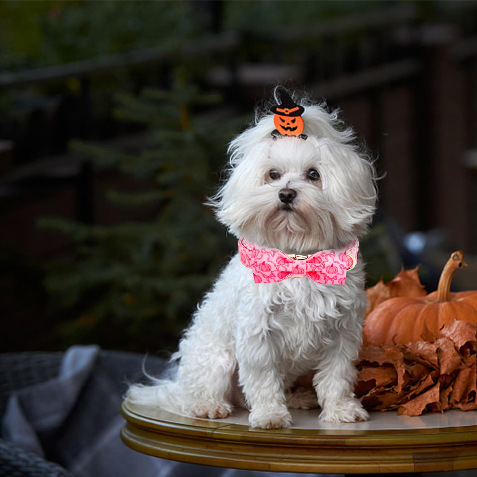 Bobo Rainbow Dog Collar, Pink Pumpkin Print Adjustable Pet Collar Cute Cotton Soft Collars with Bow Tie Fall Metal Buckle Holiday Puppy Collars Boy&Girl Gift for X-Small Dogs