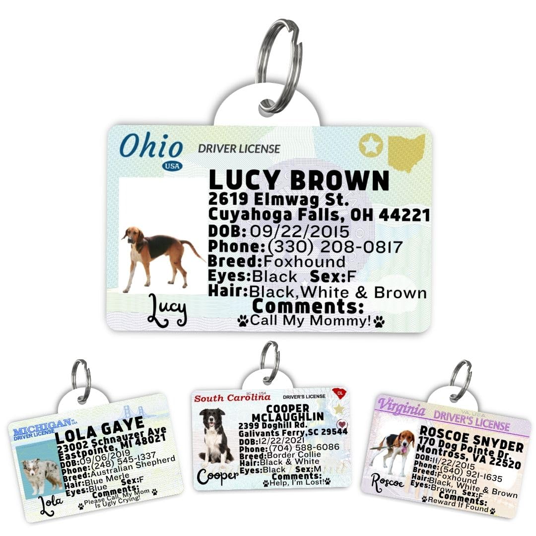 Dog Tags Personalized, Dog ID License Tag for Pets (Washington, Tag)